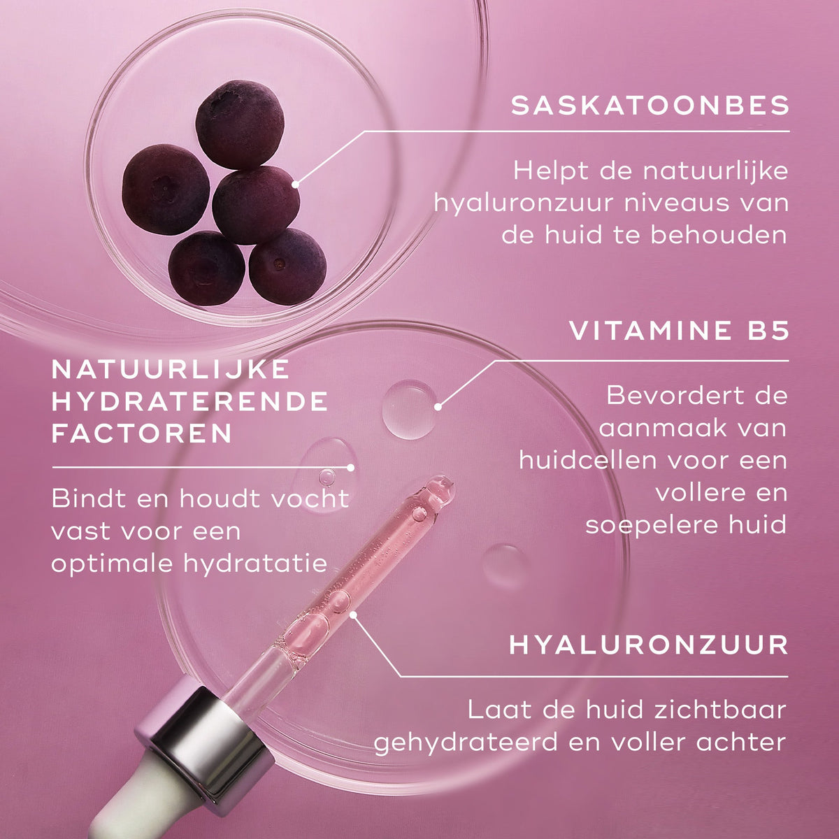 Medik8 Hydr8 B5 Intense 30ml principaux ingrédients