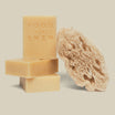 Loofah avec body bars