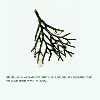 Cypress Shampoo 266ml | Corpus Naturals
