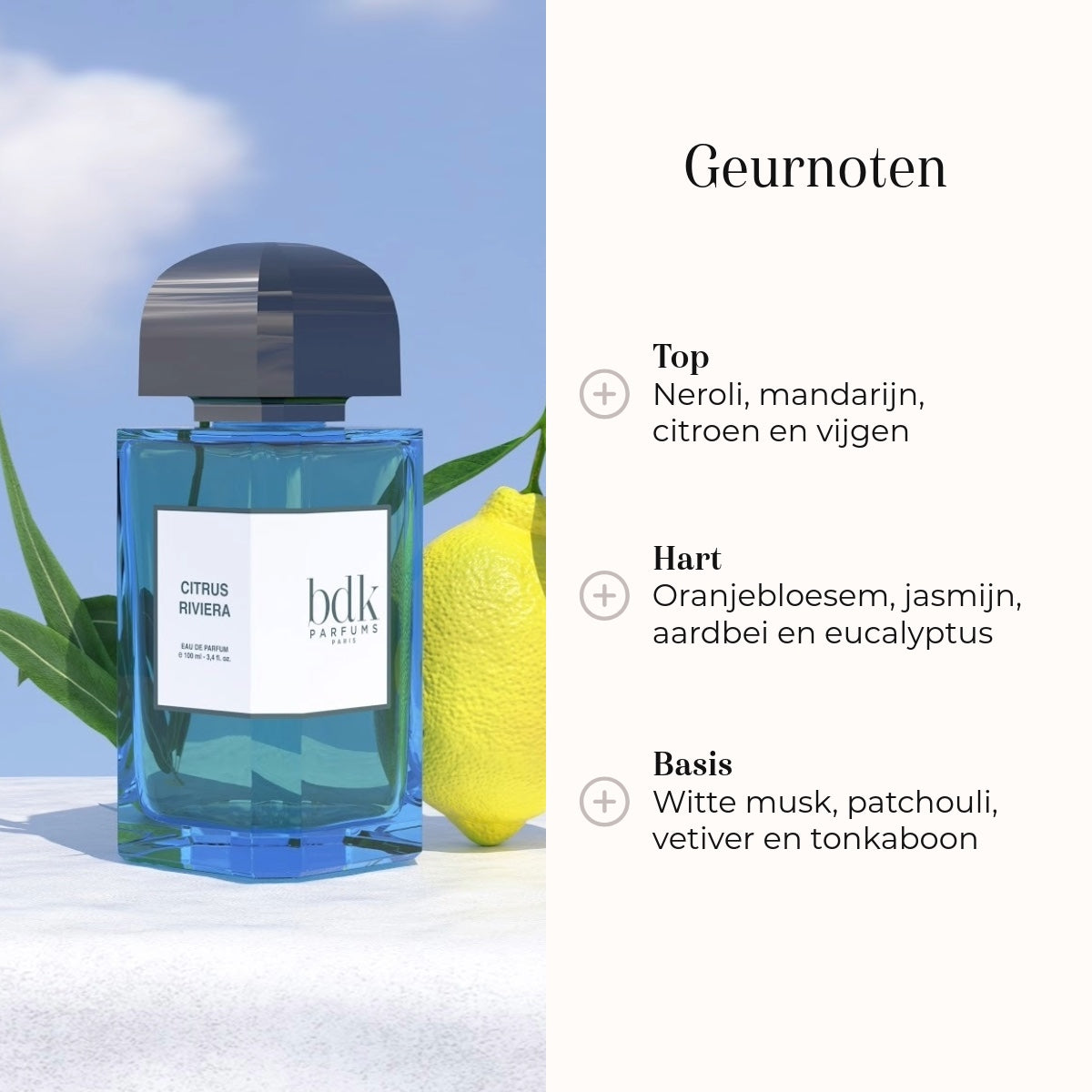 Eau de Parfum - Citrus Riviera 100ml geurnoten