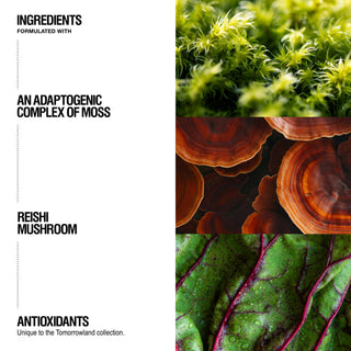 Grown Alchemist Tomorrowland Conditioner ingredients
