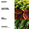Grown Alchemist Tomorrowland ingredients