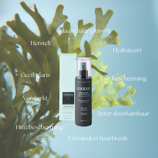 Moisty Seaweed 24 Benefits Leave-In Spray 200 ml sfeerbeeld