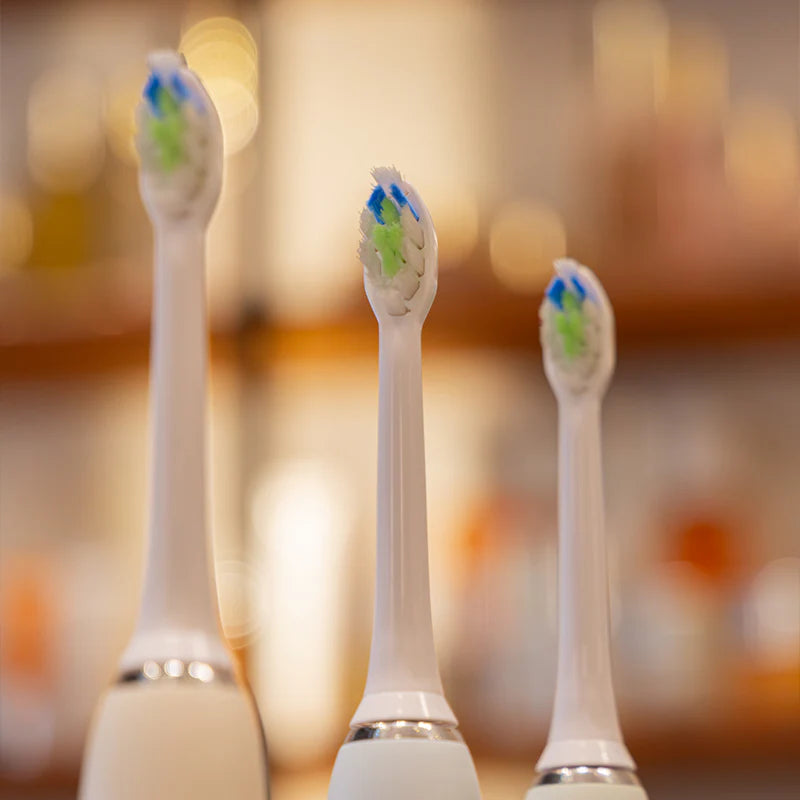 4 Replacement Brush Heads | LEBON