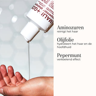 Peppermint Shampoo ingredienten