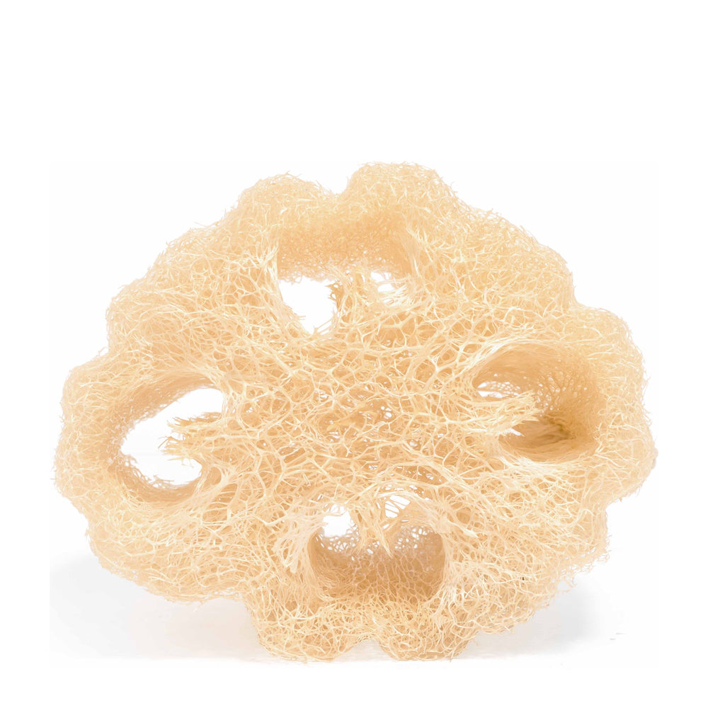 Food for Skin Éponge végétale Loofah