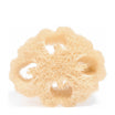 Food for Skin Loofah Veggie Sponge