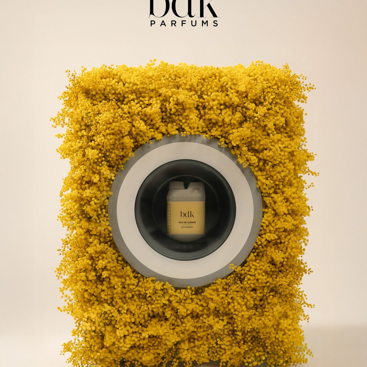 BDK Parfums Eau De Lessive Mimosa dans une machine à laver de fleurs de mimosa