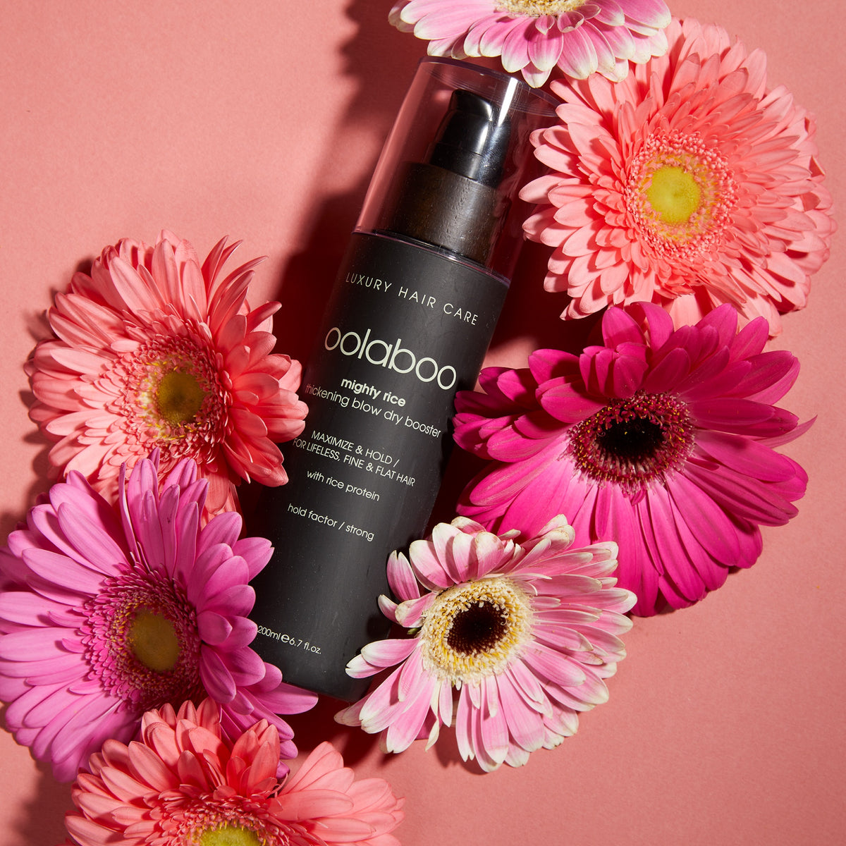 Oolaboo Mighty Rice Blow Dry Booster parmi des gerberas roses
