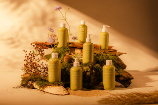 De complete Oolaboo Nature As Essence lijn op boomschors en mos