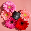 Oolaboo Straight Baobab Pomade entre des gerberas roses