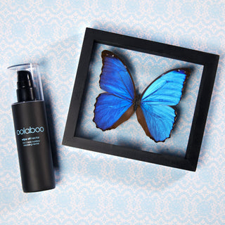 Oolaboo Wipe Off Nectar à côté d’un papillon encadré
