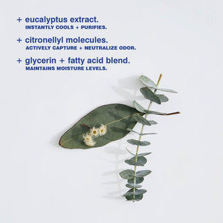Eucalyptus Deodorant | Malin+Goetz