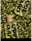 Obvious Parfums Eau de Parfum - Une Pistache ambiance